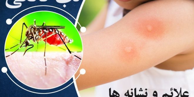 تب دنگی: آنچه که باید در مورد بیماری و شیوع آن در ایران بدانید - کلینیک ...